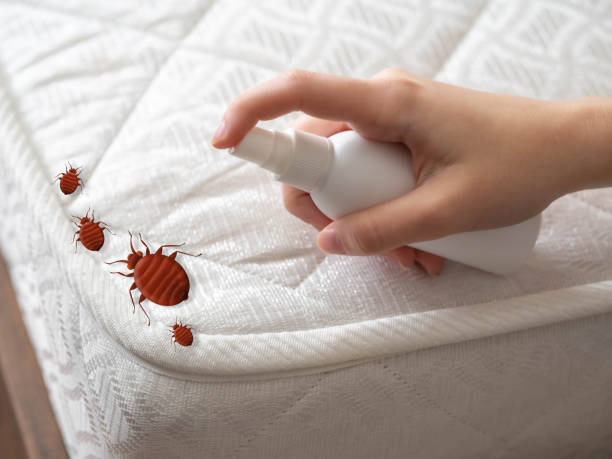 Professional Pest Control in Aberdeen, OH